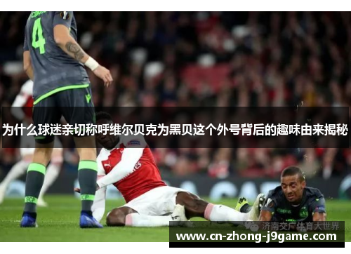 为什么球迷亲切称呼维尔贝克为黑贝这个外号背后的趣味由来揭秘 为什么球迷亲切称呼维尔贝克为黑贝这个外号背后的趣味由来揭秘